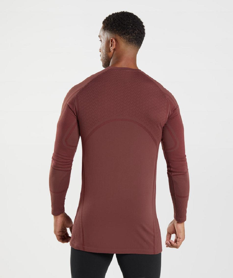 Long Sleeve Gymshark 315 Hombre Rosas Marrones | CO 3510DFM